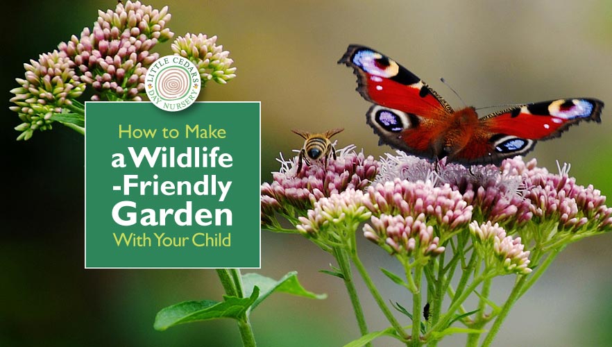 How to Make a Wildlife-Friendly Garden With Your Child
