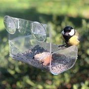 For a close-up view, a type of bird feeder that attaches to the outside of windows is commercially available.