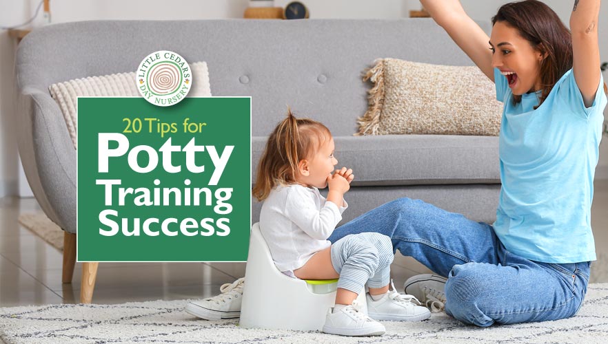 20 Tips for Potty Training Success: How to Fast-Track Toileting in Under-5s